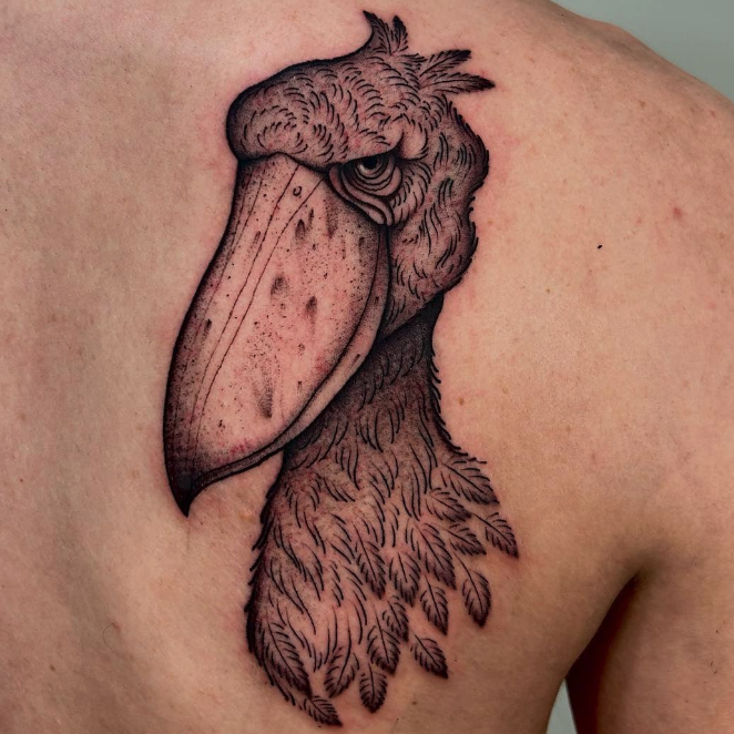 man having the back of his head shaved